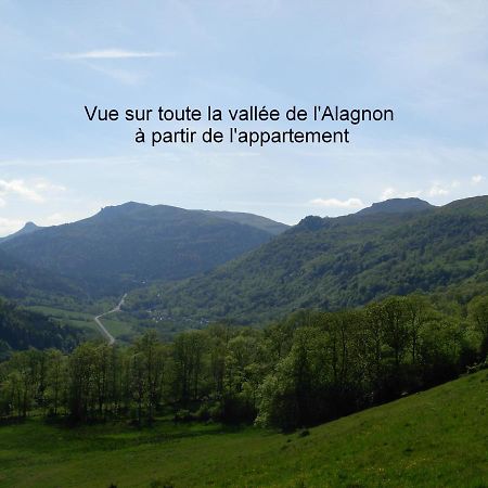 Vacances Au Pied Des Monts Du Cantal Laveissière Exterior foto