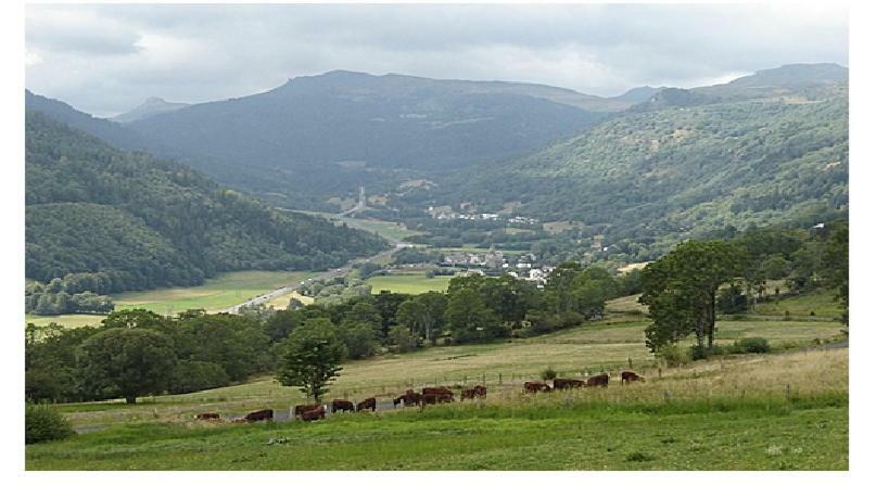 Vacances Au Pied Des Monts Du Cantal Laveissière Exterior foto